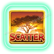 Safari-Wilds_Scatter