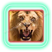 Safari-Wilds_Symbol1