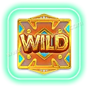 Safari-Wilds_Wild