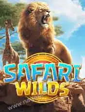 Safari-Wilds_cover
