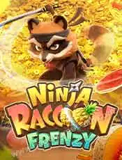 Ninja-Raccoon-Frenzy_cover