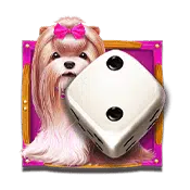 NG-Top-2-The-Dog-House-Dice-Show-min